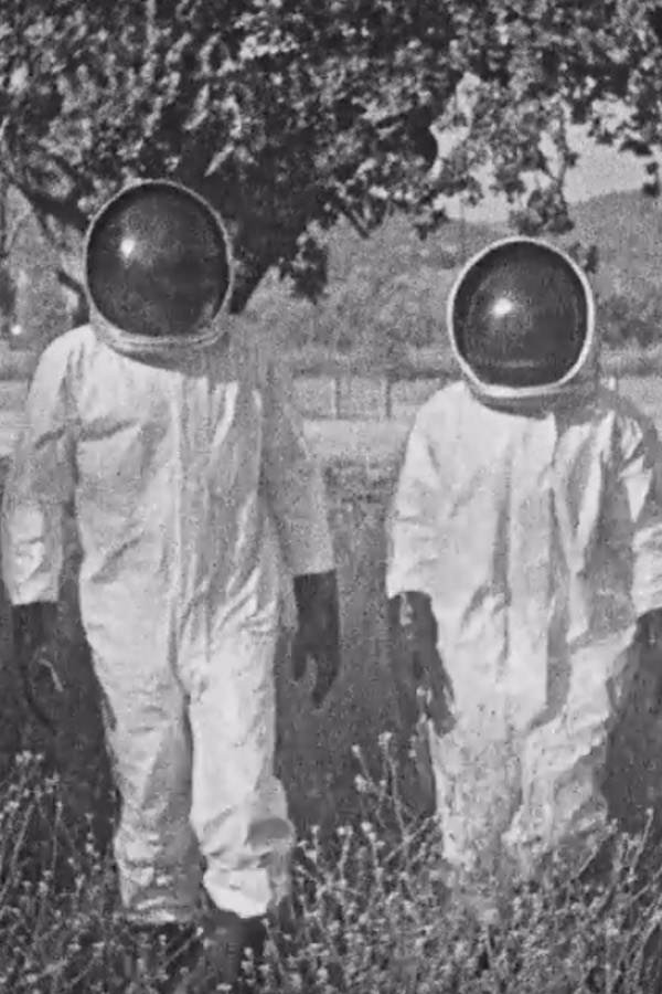 Six K - Artist - Ivy Jarrin - Celebrity